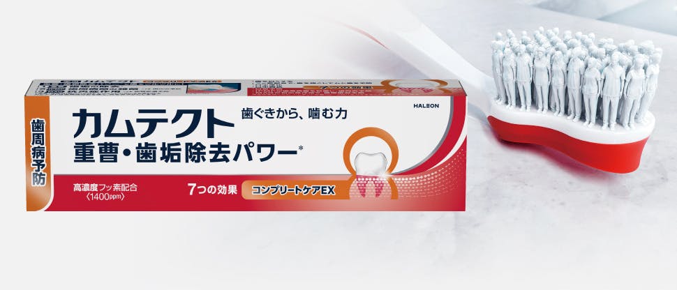 カムテクトイメージ