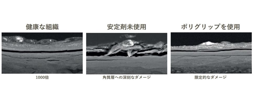 in vitro において、ケシの実とアクリル板とともに12時間攪拌した後の口腔組織