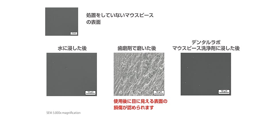 invitro 試験