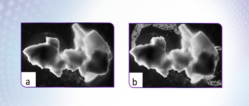 Image of NovaMin particles