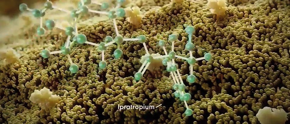 Budowa ipratropium