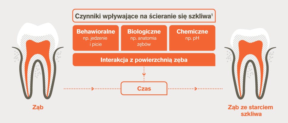 Czynniki wpływające na ścieranie się szkliwa