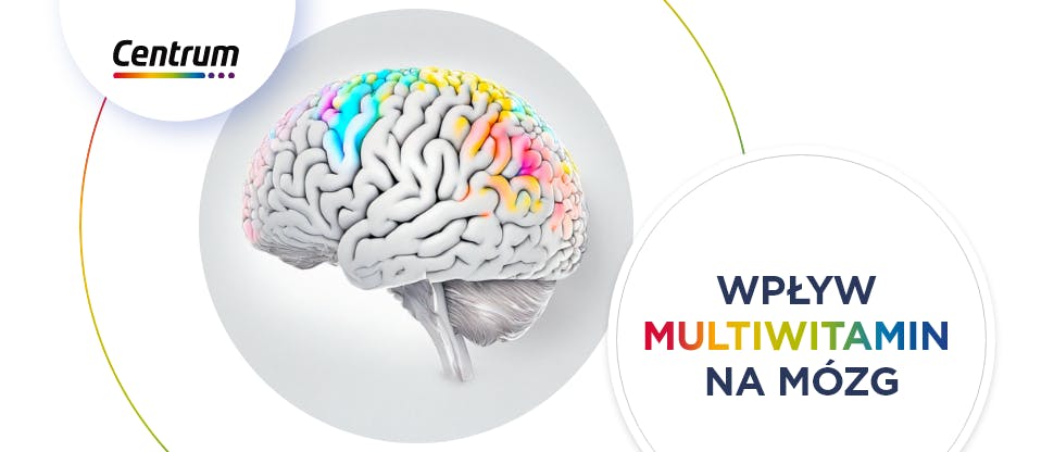 Baner z grafiką mózgu i hasłem Wpływ multiwitamin na mózg