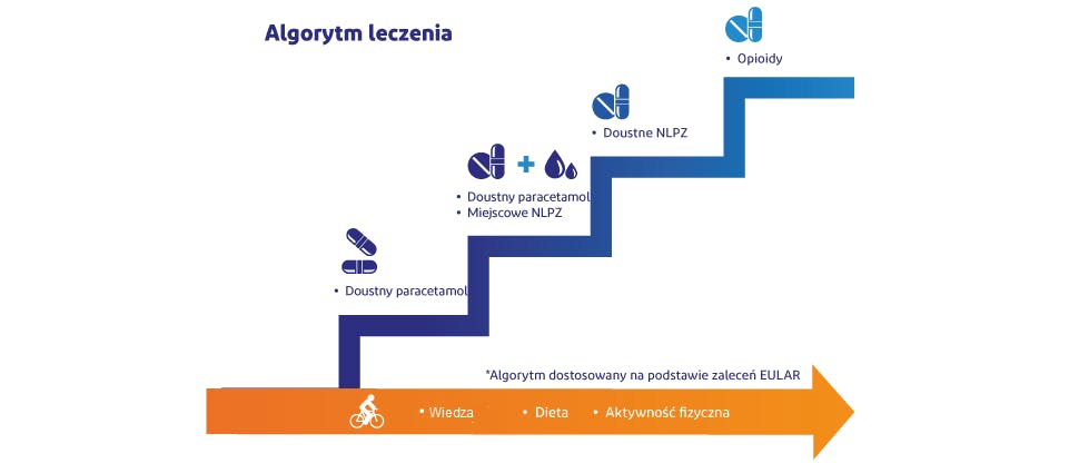 Algorytm leczenia choroby zwyrodnieniowej stawów14–16