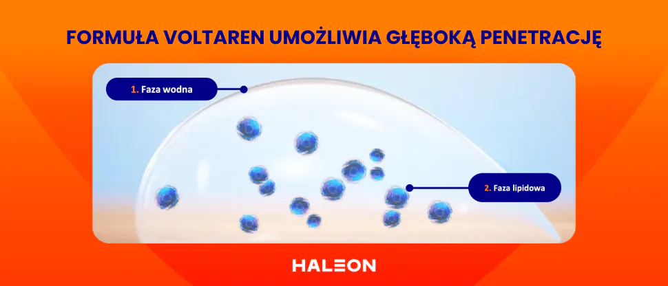 Mechanizm działania