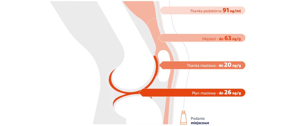 Wykres przedstawiający stężenia diklofenaku docierającego do różnych tkanek pod skórą kolana po zastosowaniu miejscowym3 