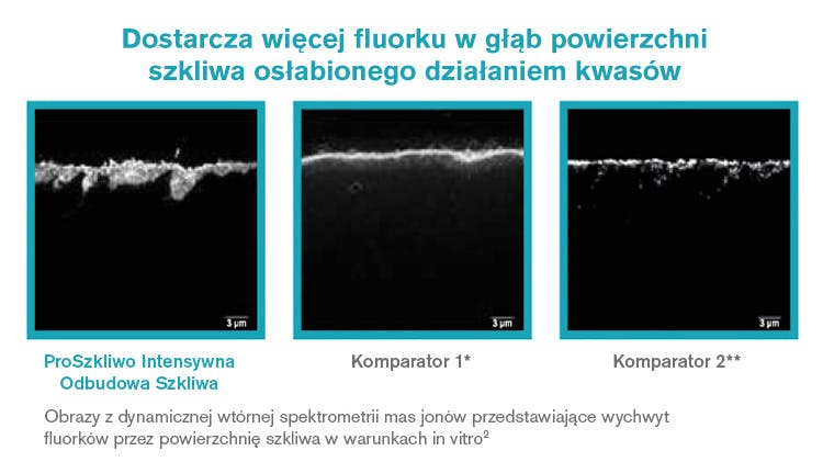 Obraz wychwytu fluorków z mikroskopu SEM