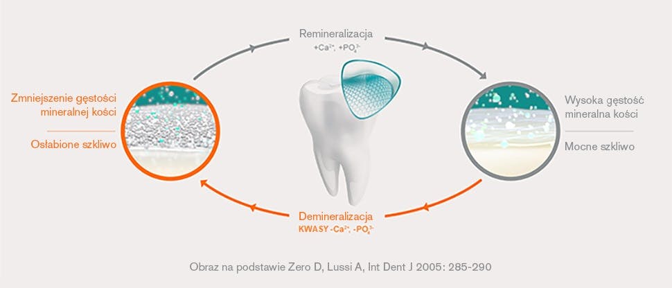 Cykl remineralizacji / demineralizacji