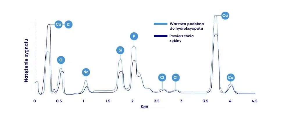 Wykresy rentgenowskie ukazujące strukturę zębiny