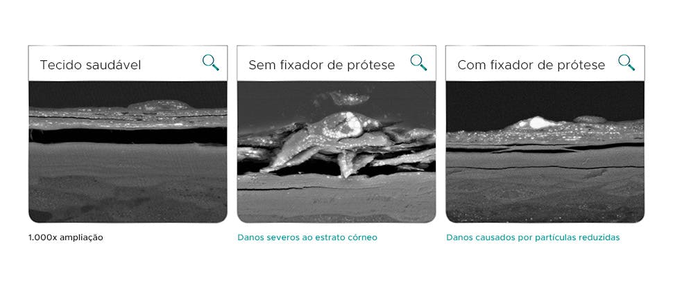 Tecido oral após 12 de agitação com sementes de papoula e discos de acrílico em testes laboratoriais