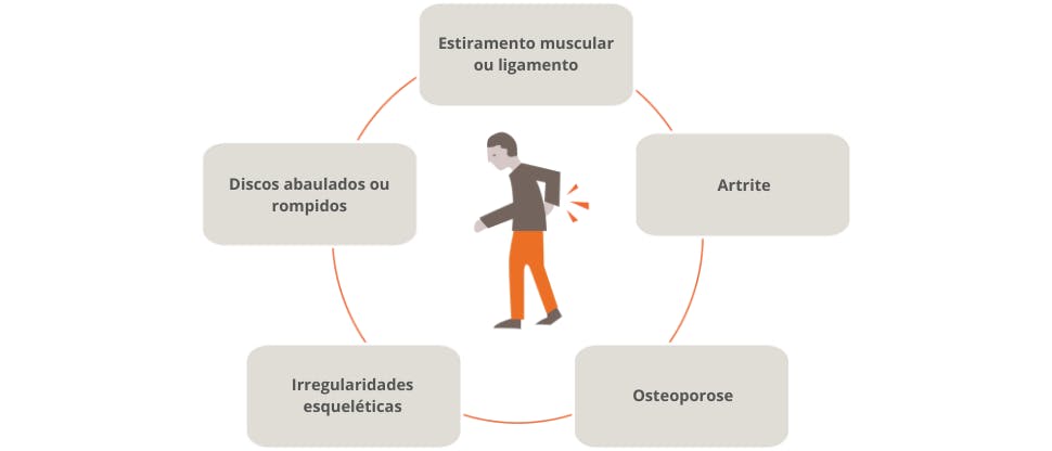 Gráfico representando as causas potenciais de dor nas costas