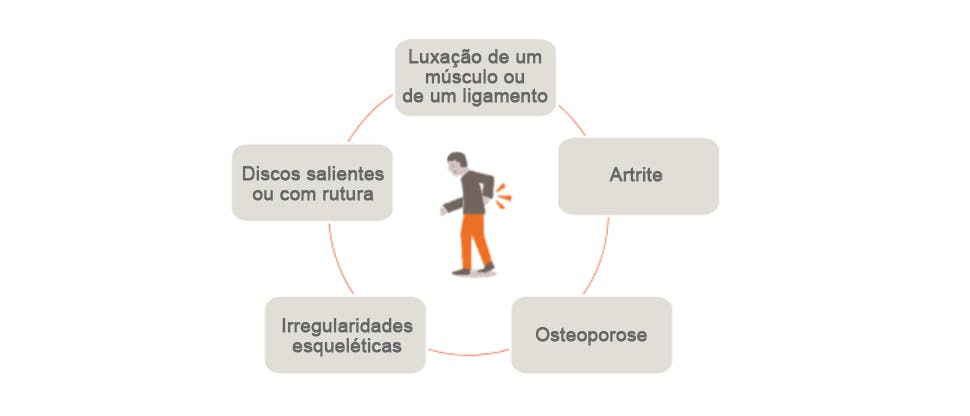 Gráfico que descreve as possíveis causas da dor de costas