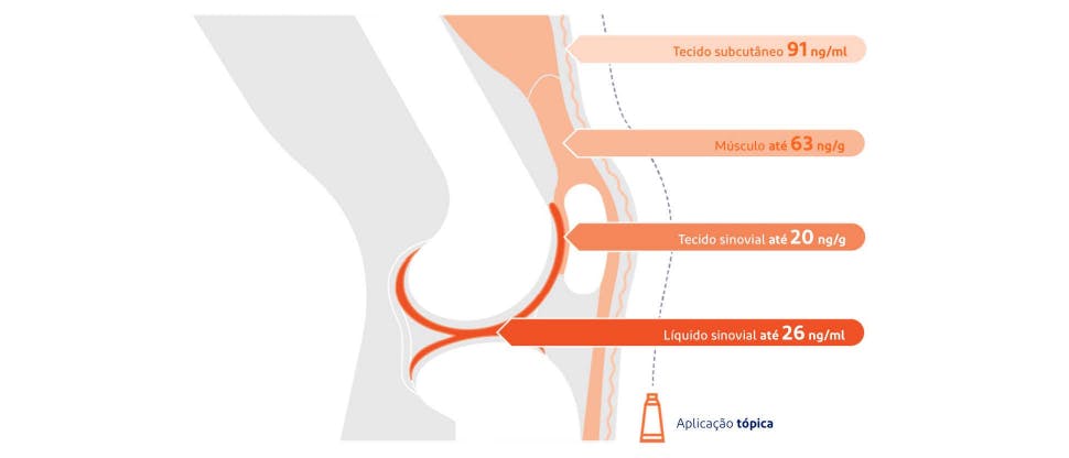 Diagrama que mostra as concentrações de diclofenac que chegam aos vários tecidos por baixo da pele do joelho após aplicação tópica3