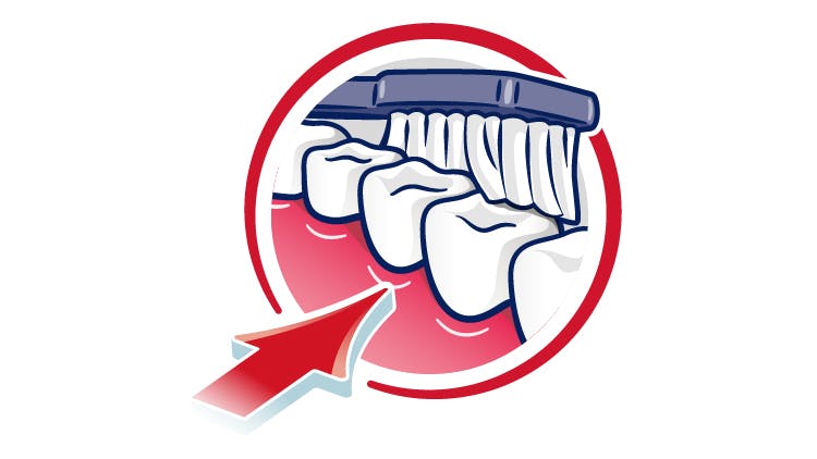 Um ícone animado mostra uma escova de dentes a remover placa bacteriana dos dentes com movimentos para a frente e para trás.