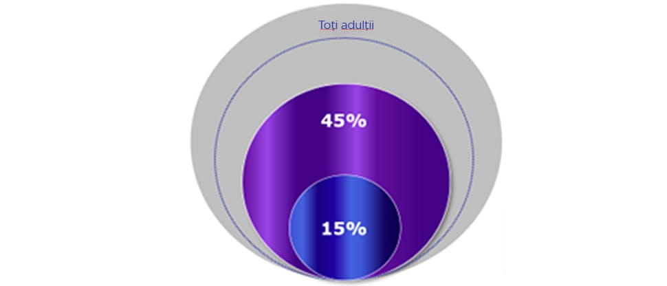 Graficul studiului