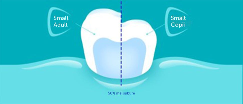 Smalț adult vs copil