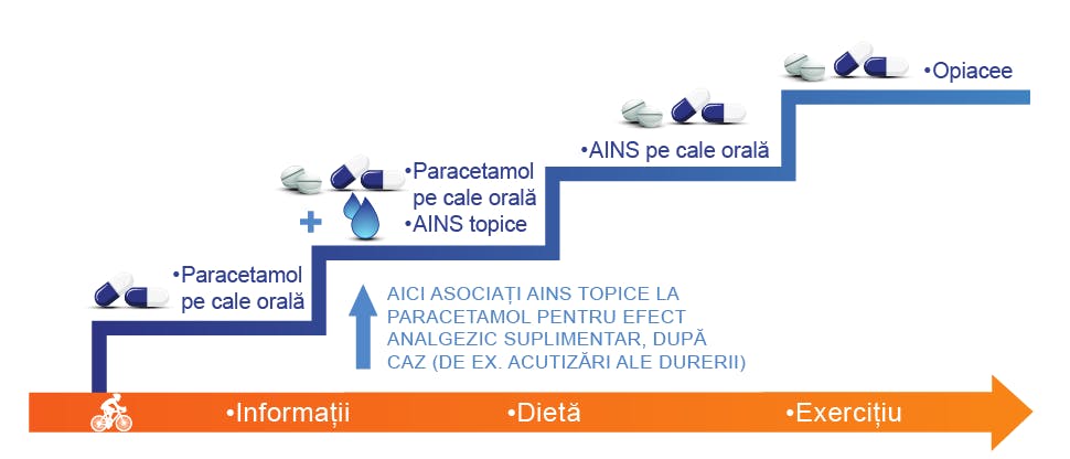 Algoritm de tratament pentru artroză14-16