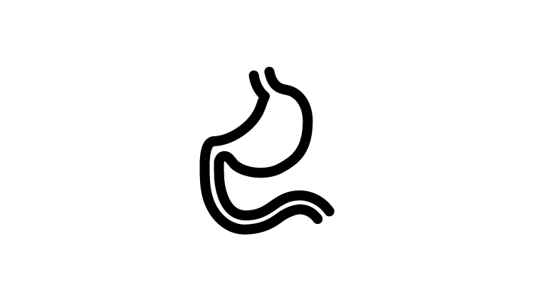Icon-intestine