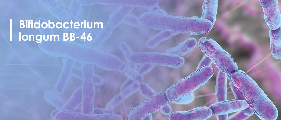 Bifidobacterium longum BB-46