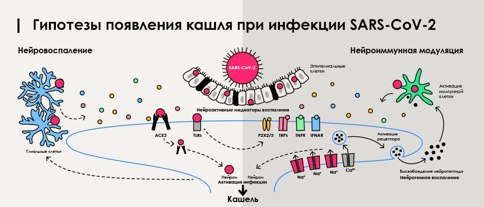 После ковида кашель не проходит месяц что делать