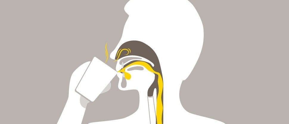 Иллюстрация, показывающая поперечное сечение пьющего человека с жидкостью, покрывающей горло