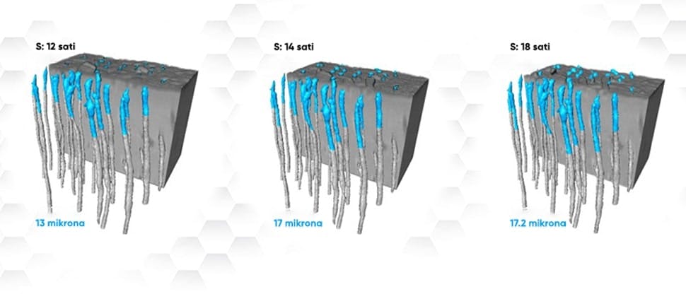 in vitro sinhrotron informacije vizualizacija