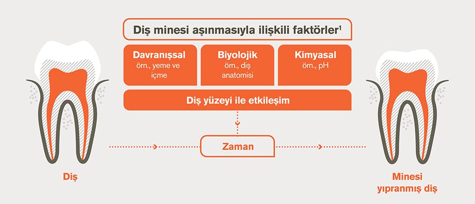 Diş minesi aşınmasıyla ilgili faktörler