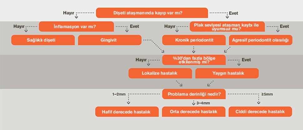 Tanı akış şeması
