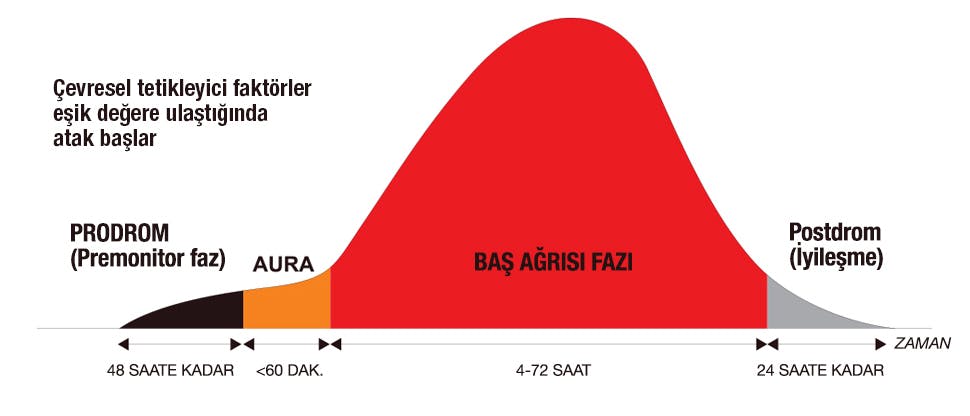 Migrenin dört fazı