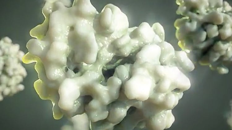 Mukusun mikroskop altındaki görüntüsü