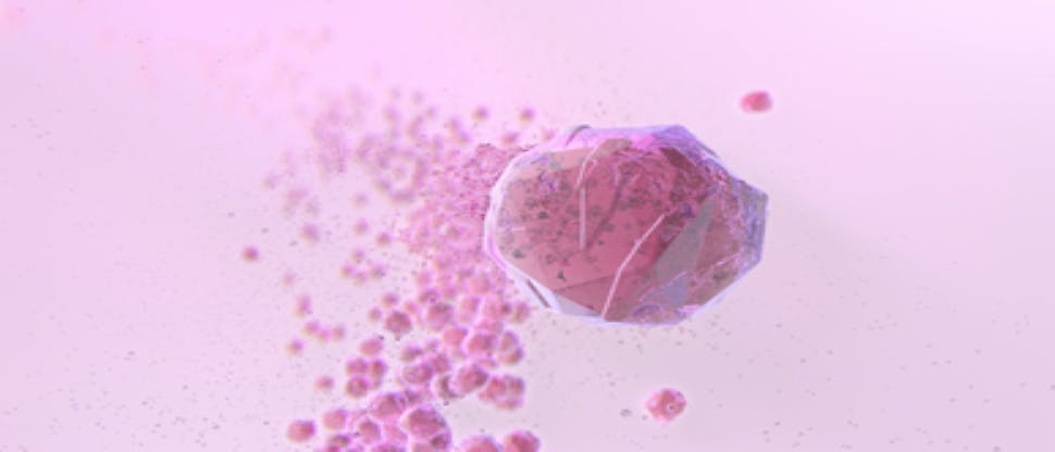 sodium bicarobonate