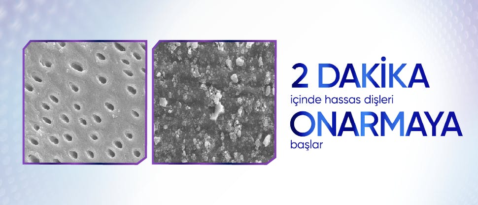 Fırçalamadan itibaren onarım başlar