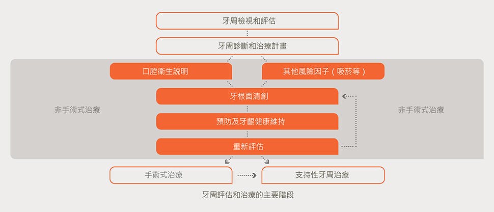 牙周病評估和治療流程圖