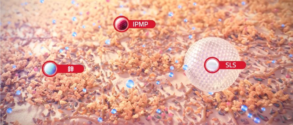IPMP + 鋅分子的圖像