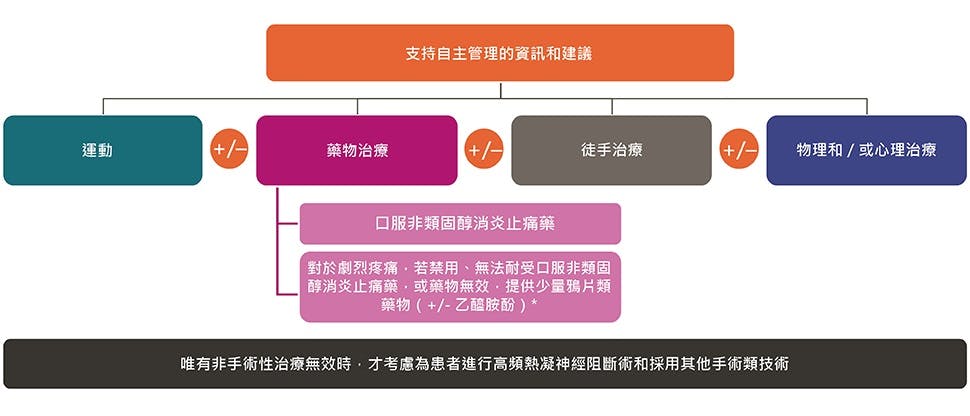 歸納背痛治療路徑的圖表