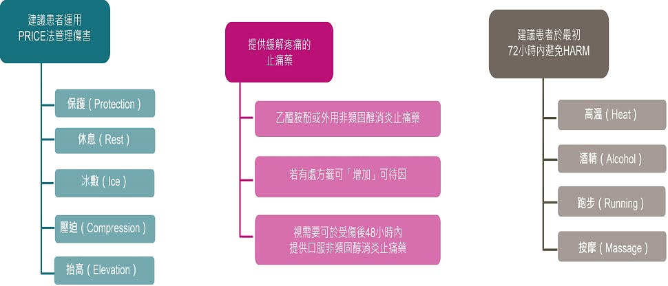 歸納有關治療扭傷與拉傷的 NICE 醫療指引