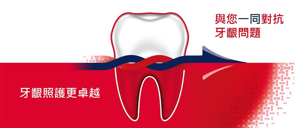 說明牙周適協助解決牙齦問題的牙齒圖片