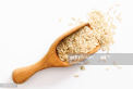 Rice in a spatula
