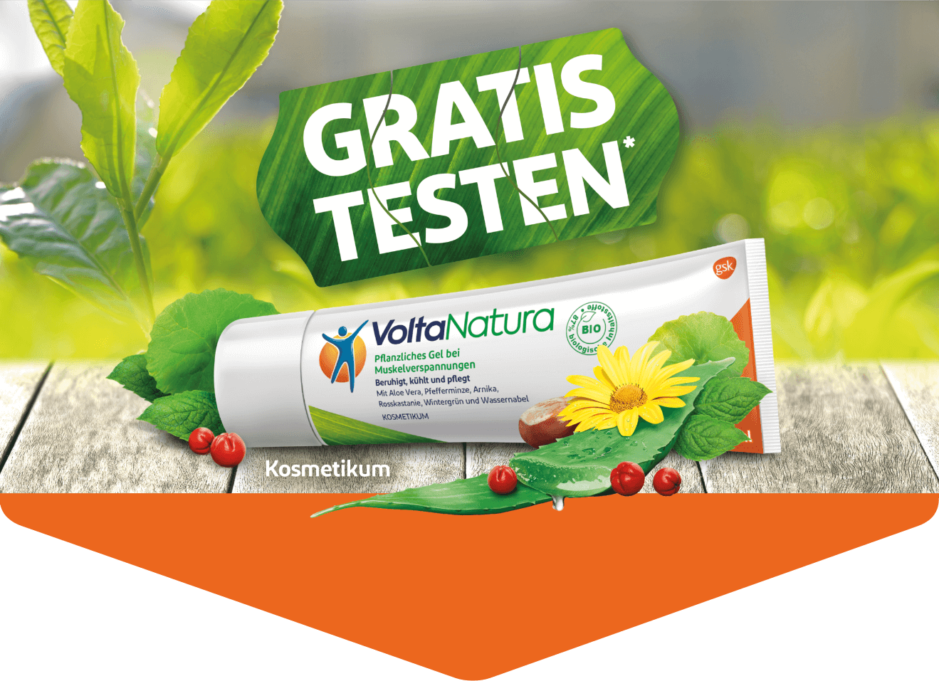 VoltaNatura Gel VoltaNatura 50 ml - GRATIS TESTEN dank GELD-ZURÜCK-AKTION