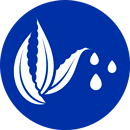 The blue icon with Aloe Vera The blue icon with Aloe Vera
