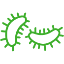 bacterias icon