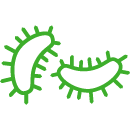 bacterias icon bacterias icon