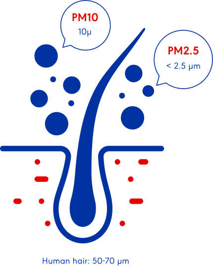 Graphic of particulate pollution size compared to a human hair