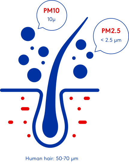 Graphic of particulate pollution size compared to a human hair 