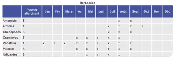 Allergie aux plantes - calendrier pollinique