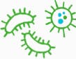 Icona batteri e virus - Rinazina