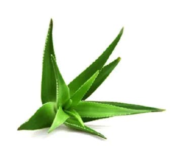 Gsk Dispositivi Medici Rinazina Aquamarina Aloe