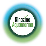 Logo Rinazina Esperto del Naso Libero in grigio - Rinazina
