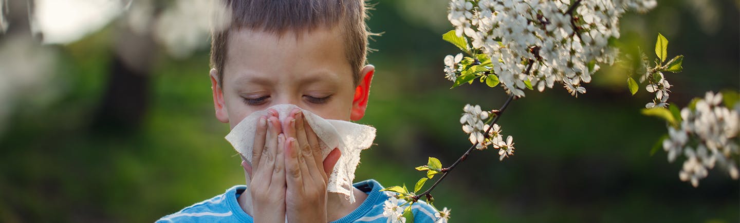 Rinite allergica nei bambini: cause, sintomi e rimedi - Narhinel
