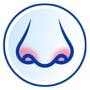 The blue icon with a nose and arrows pointing on each side of the nose